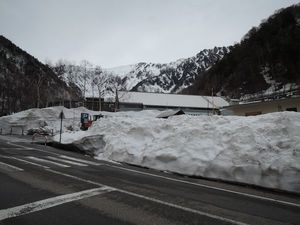 DSCN2958re.jpg