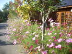 DSCN3660.JPG