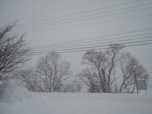DSCN4813re.jpg