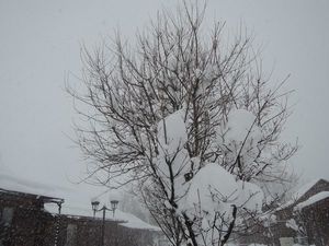 DSCN4820re.jpg