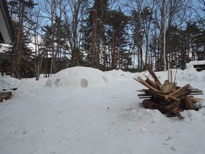 DSCN4949re.jpg