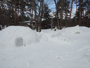 DSCN4951re.jpg