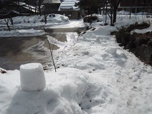 DSCN4953re.jpg