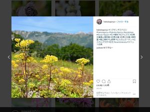 五竜インスタ.jpg