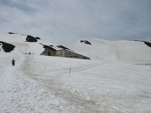 IMG_0073re.jpg