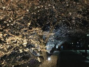 IMG_0095re.jpg