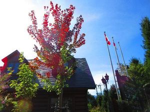 IMG_0347re.jpg