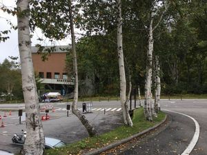 IMG_0420re.jpg