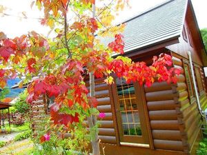 IMG_0436re.jpg