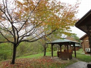 IMG_0513re.jpg