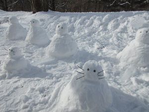 IMG_0916re.jpg