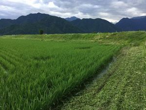 IMG_0923re.jpg