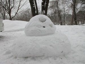 IMG_1178re.jpg