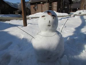 IMG_1307re.jpg
