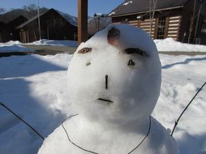 IMG_1311re.jpg