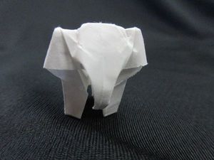 IMG_1318re.jpg