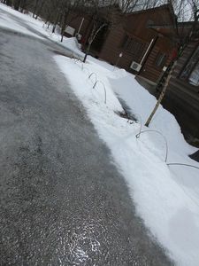 IMG_1371re.jpg