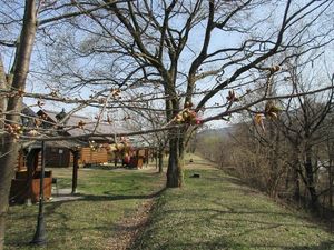 IMG_1429re.jpg