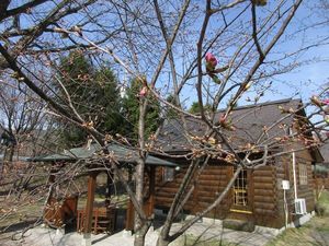 IMG_1433re.jpg