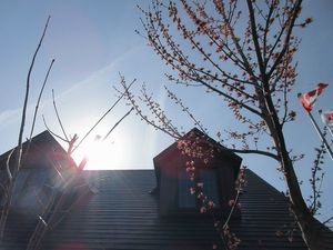 IMG_1439re.jpg