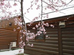 IMG_1469re.jpg