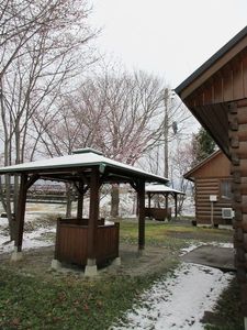 IMG_1475re.jpg