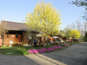 IMG_1587re.jpg