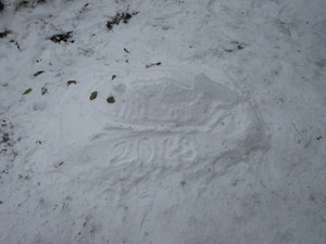 IMG_2513.JPG