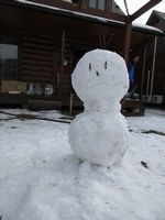 IMG_2563re2.jpg