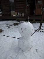 IMG_2566re2.jpg