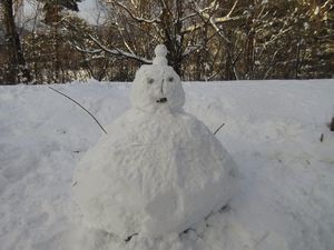 IMG_2726r.jpg