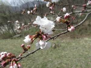 IMG_3165.JPG